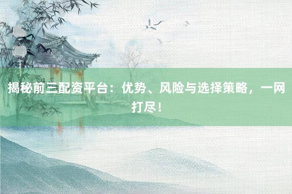 揭秘前三配资平台：优势、风险与选择策略，一网打尽！