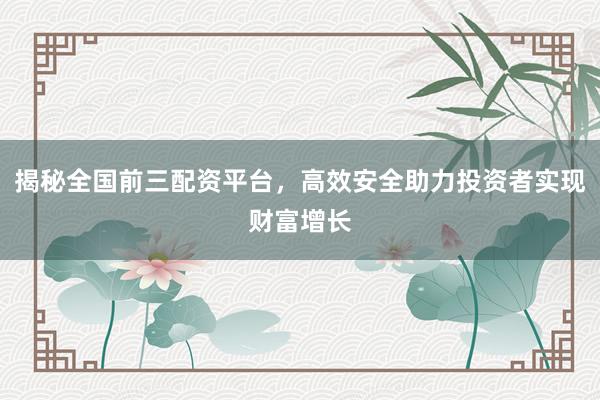 揭秘全国前三配资平台，高效安全助力投资者实现财富增长