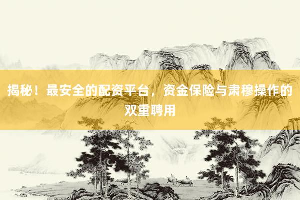 揭秘！最安全的配资平台，资金保险与肃穆操作的双重聘用