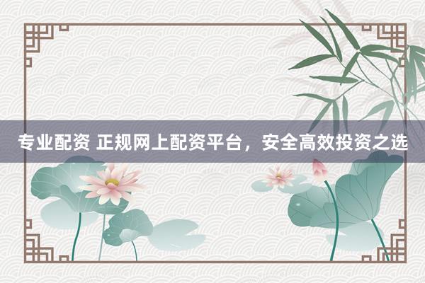 专业配资 正规网上配资平台，安全高效投资之选
