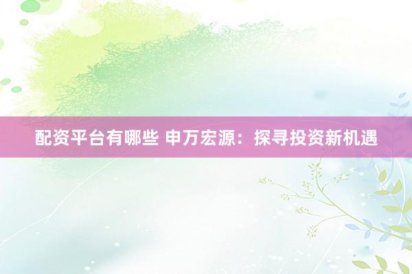 配资平台有哪些 申万宏源：探寻投资新机遇