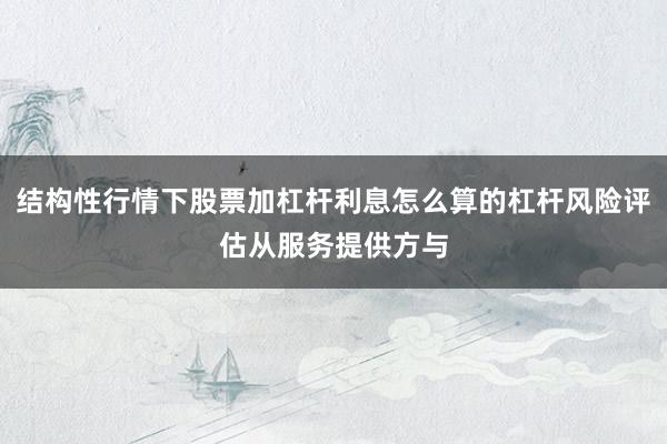 结构性行情下股票加杠杆利息怎么算的杠杆风险评估从服务提供方与