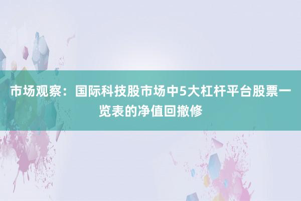 市场观察：国际科技股市场中5大杠杆平台股票一览表的净值回撤修