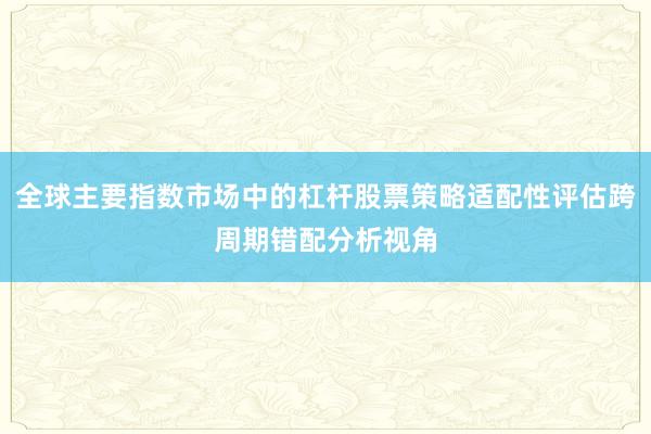 全球主要指数市场中的杠杆股票策略适配性评估跨周期错配分析视角