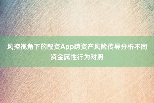 风控视角下的配资App跨资产风险传导分析不同资金属性行为对照