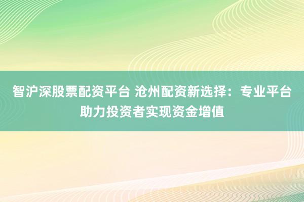 智沪深股票配资平台 沧州配资新选择：专业平台助力投资者实现资金增值