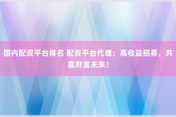 国内配资平台排名 配资平台代理：高收益招募，共赢财富未来！