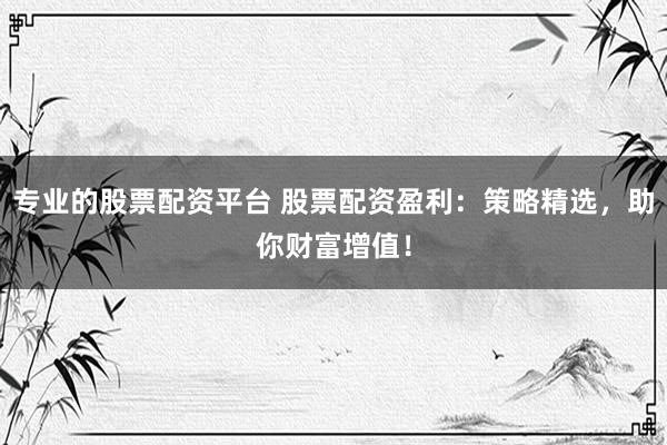 专业的股票配资平台 股票配资盈利：策略精选，助你财富增值！