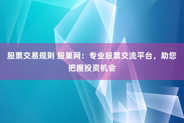 股票交易规则 股巢网：专业股票交流平台，助您把握投资机会