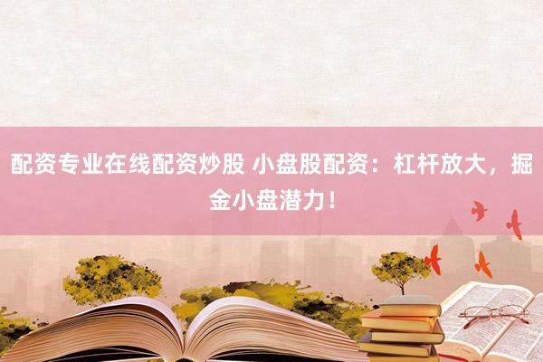 配资专业在线配资炒股 小盘股配资：杠杆放大，掘金小盘潜力！